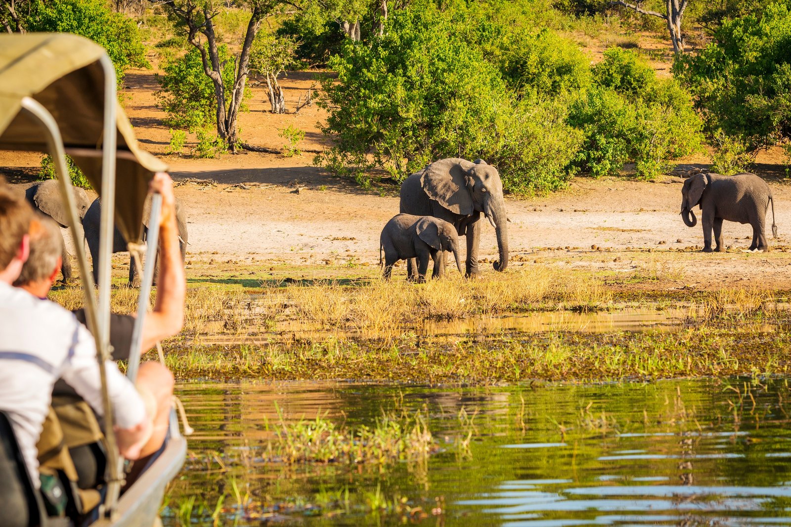 ⁠Chambal Safari tour from Agra